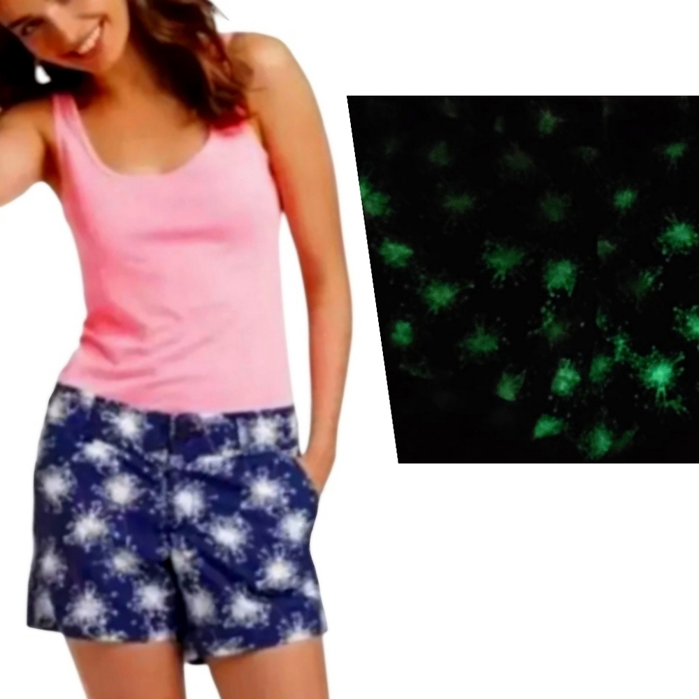 Lilly Pulitzer Blue and White Bermuda Shorts with Star Pattern